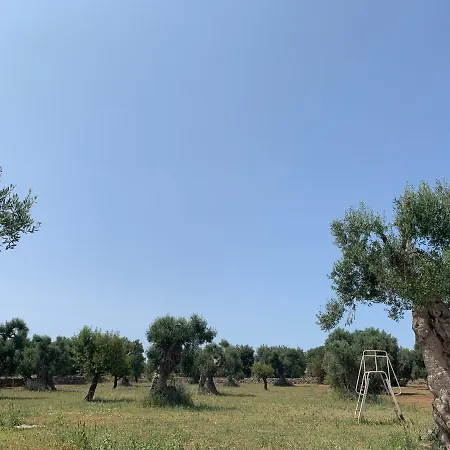 公寓 La Piccola Tufaia 法萨诺