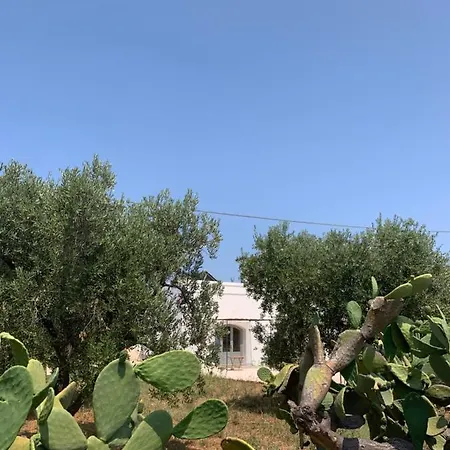 La Piccola Tufaia
